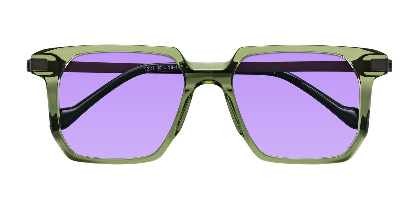 Eloise - Transparent Green Tinted Sunglasses