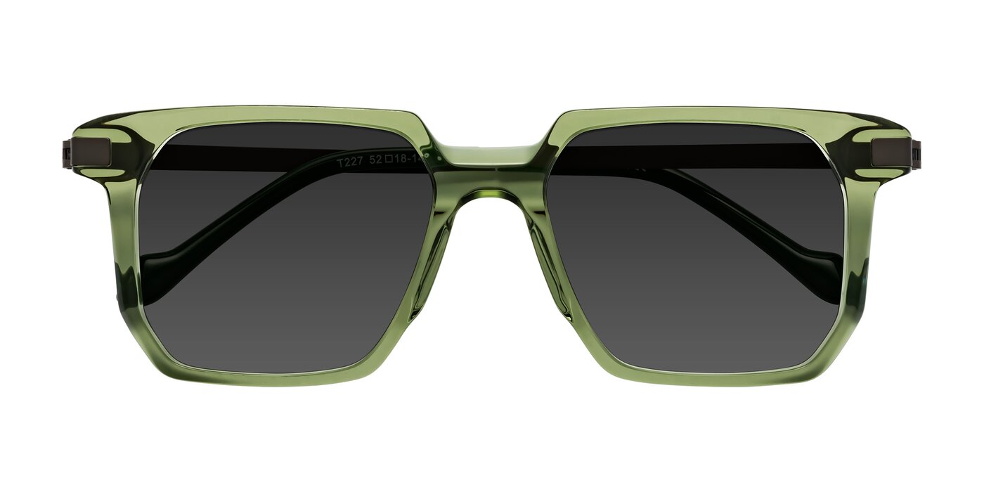 Eloise - Transparent Green Tinted Sunglasses