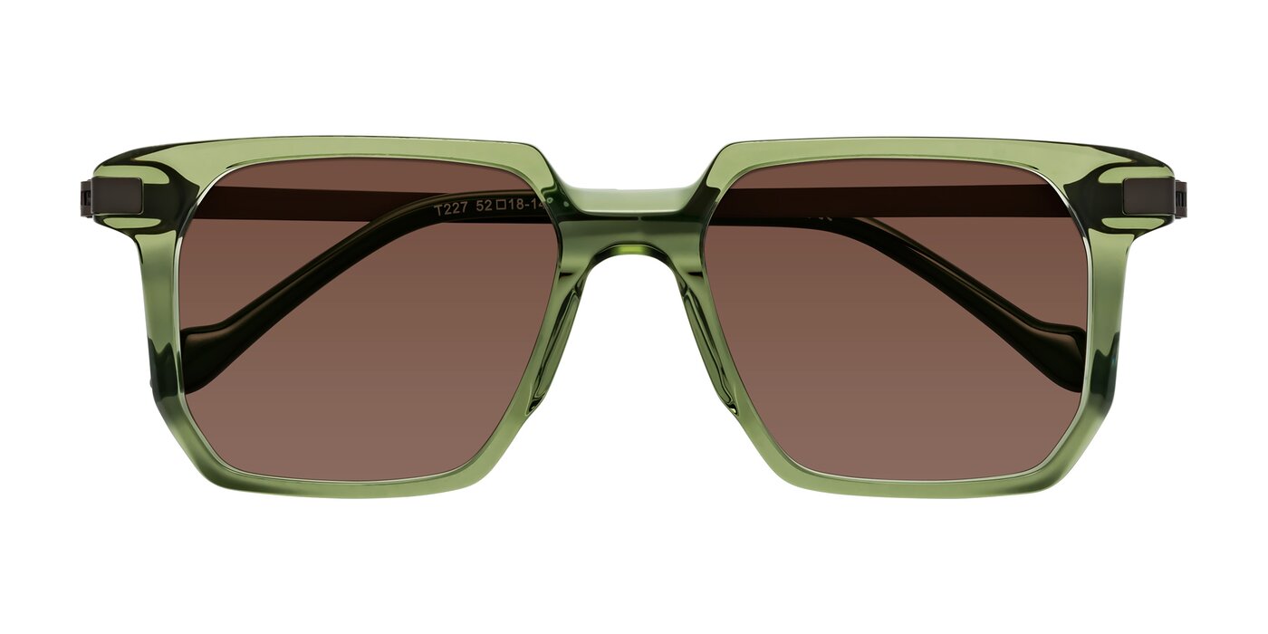 Eloise - Transparent Green Tinted Sunglasses