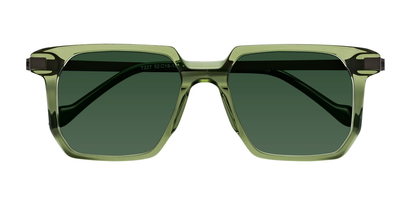 Eloise - Transparent Green Tinted Sunglasses