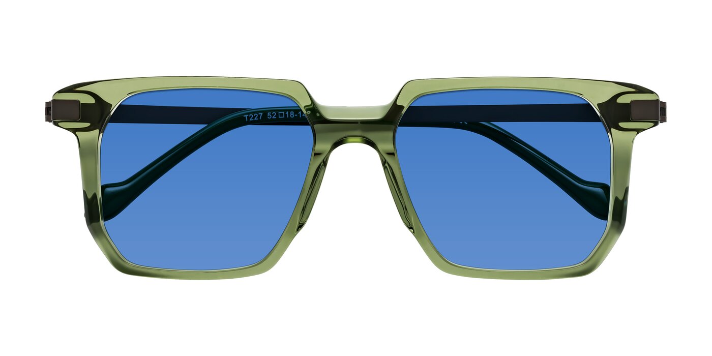 Eloise - Transparent Green Tinted Sunglasses