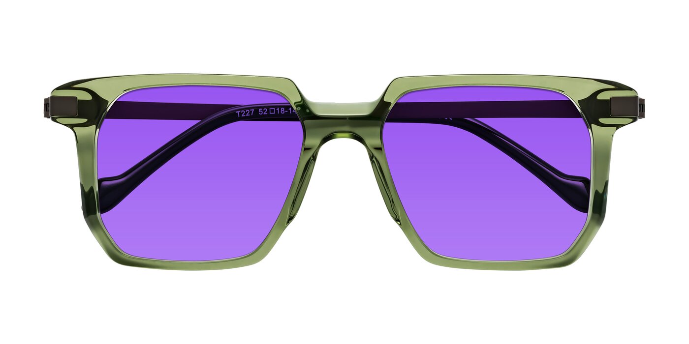 Eloise - Transparent Green Tinted Sunglasses