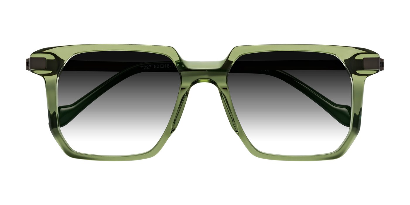 Eloise - Transparent Green Gradient Sunglasses