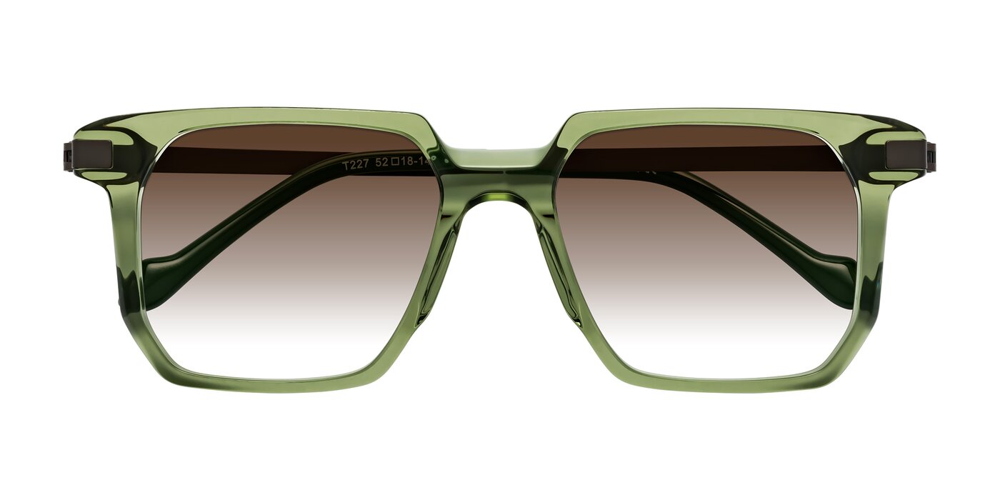 Eloise - Transparent Green Gradient Sunglasses