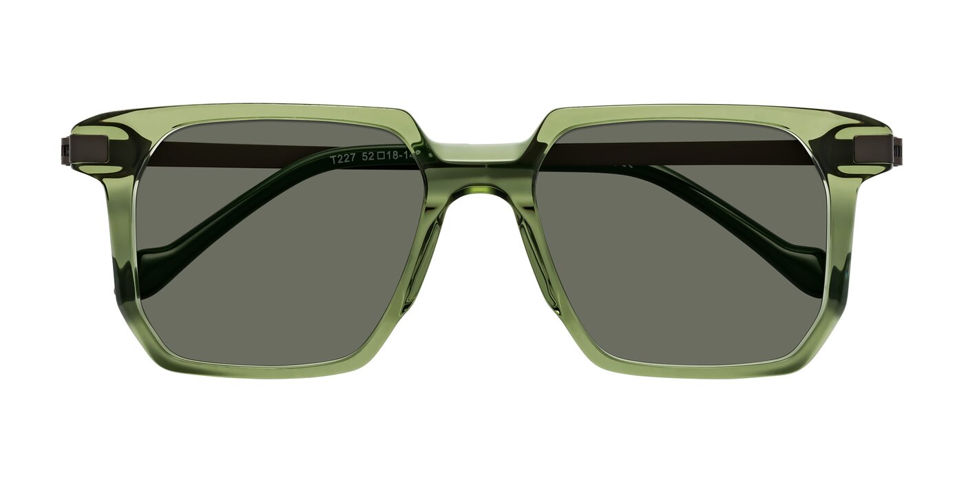 Eloise - Transparent Green Polarized Sunglasses