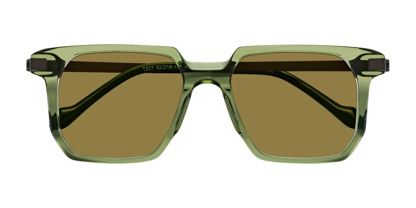 Eloise - Transparent Green Polarized Sunglasses
