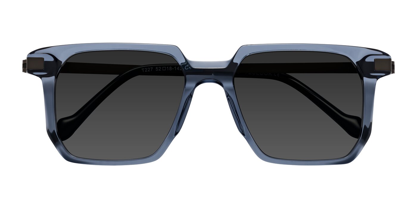 Eloise - Transparent Blue Tinted Sunglasses