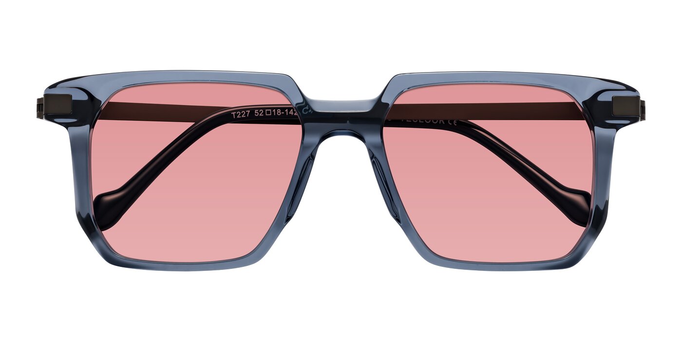 Eloise - Transparent Blue Tinted Sunglasses
