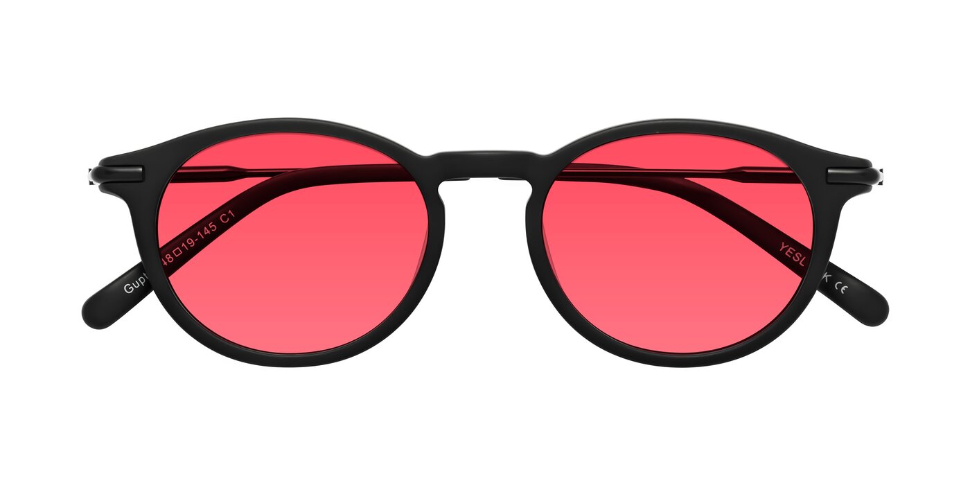 Gupta - Matte Black Tinted Sunglasses