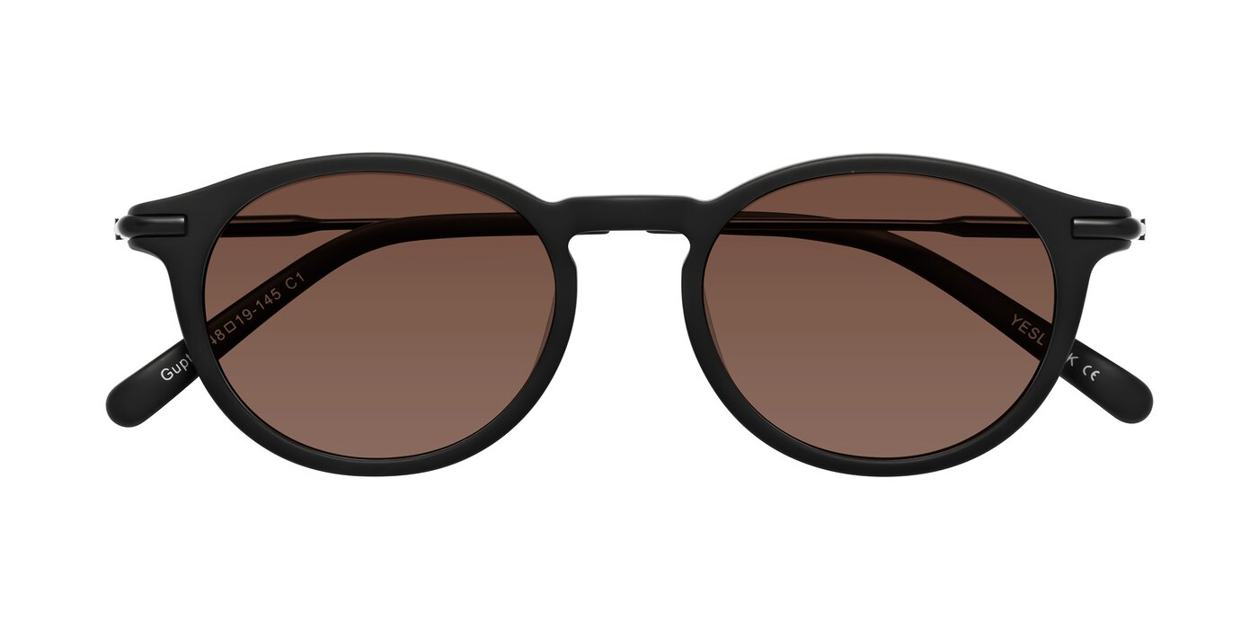 Gupta - Matte Black Tinted Sunglasses