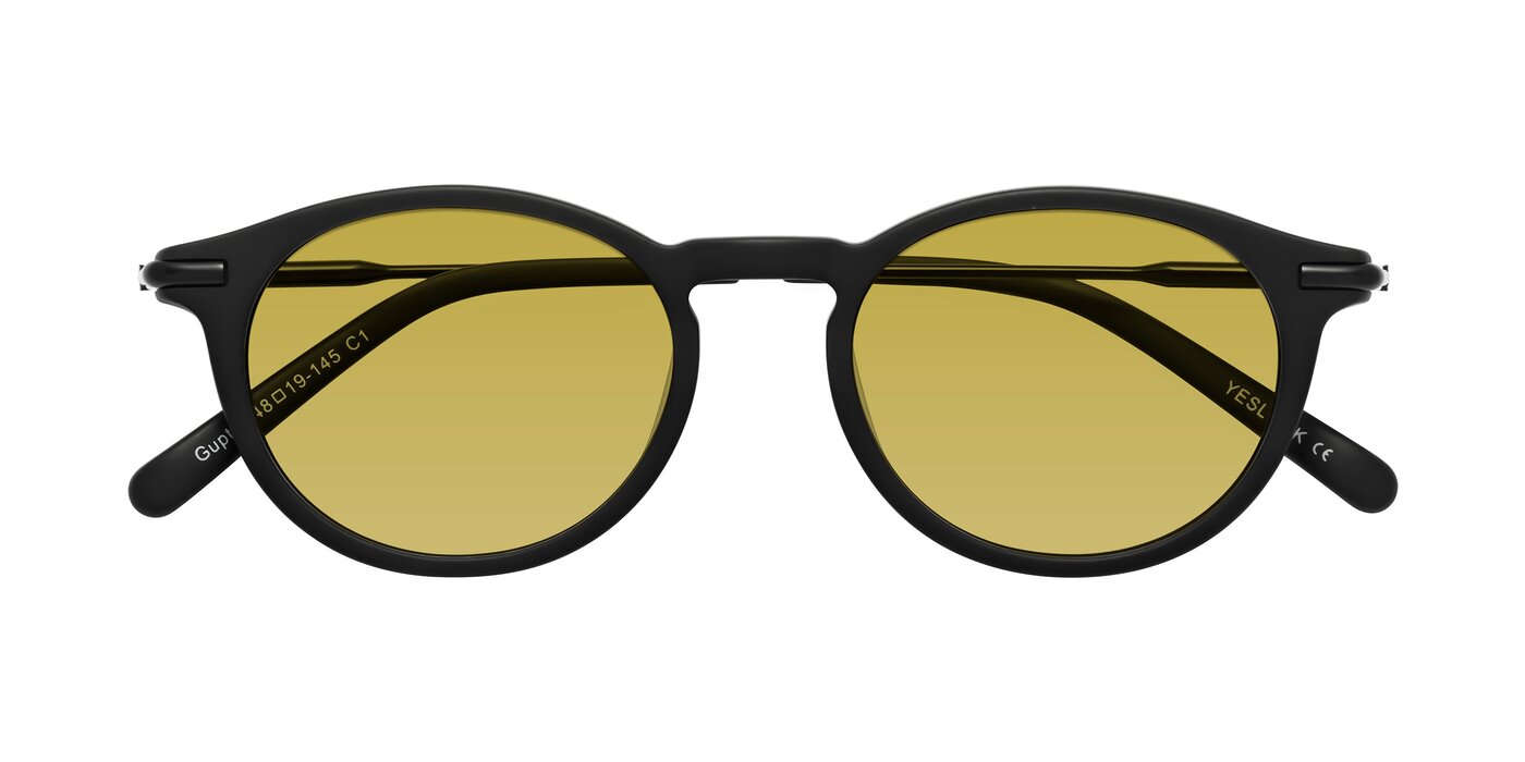 Gupta - Matte Black Tinted Sunglasses