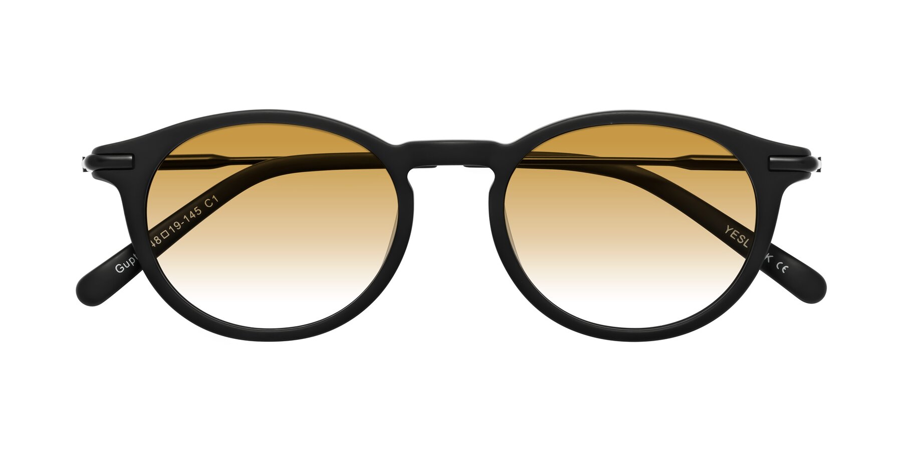 Folded Front of Gupta in Matte Black with Champagne Gradient Lenses