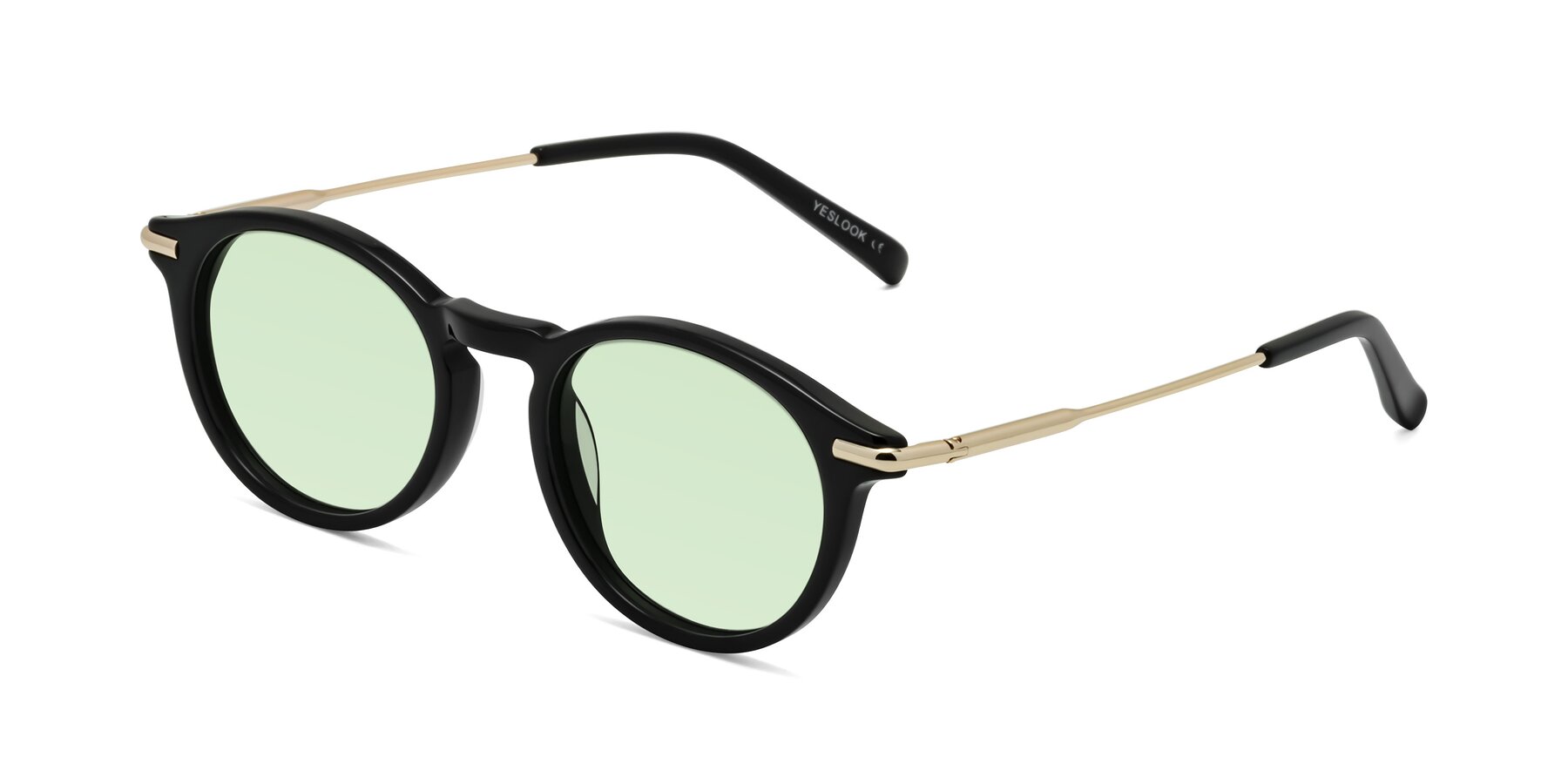 Angle of Gupta in Black with Light Green Tinted Lenses
