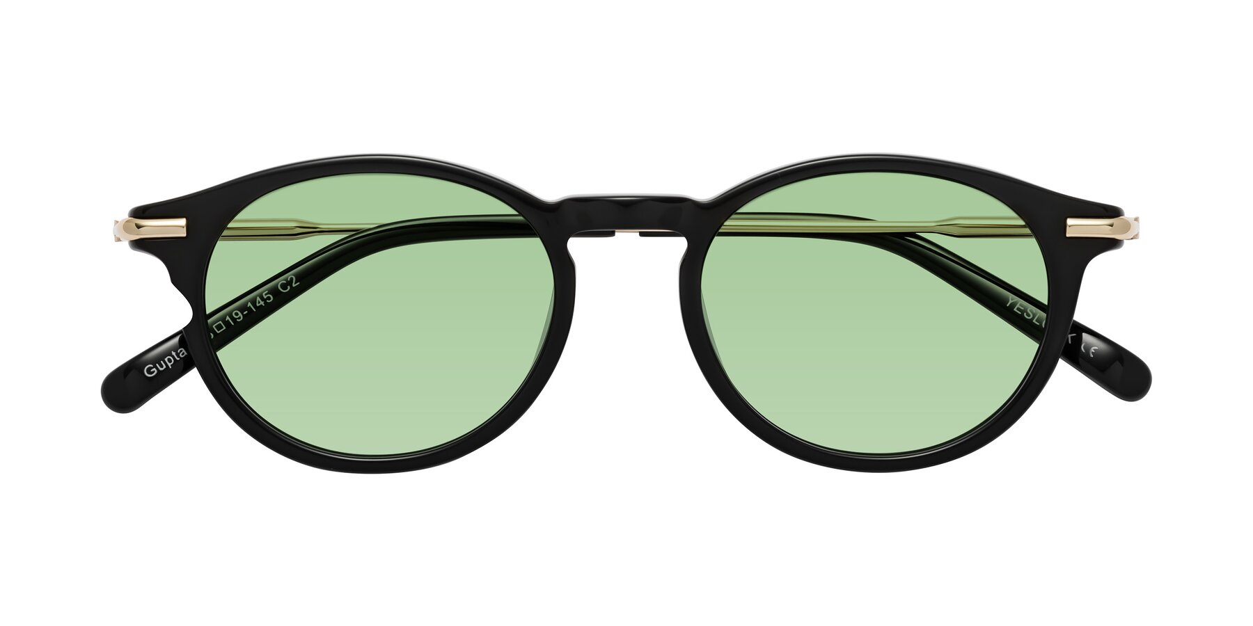 Folded Front of Gupta in Black with Medium Green Tinted Lenses
