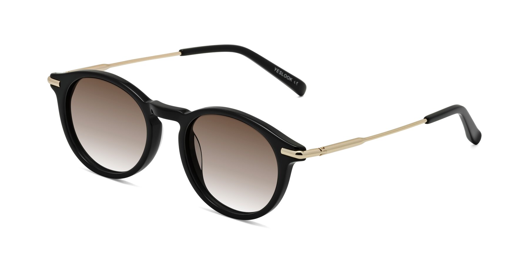 Angle of Gupta in Black with Brown Gradient Lenses