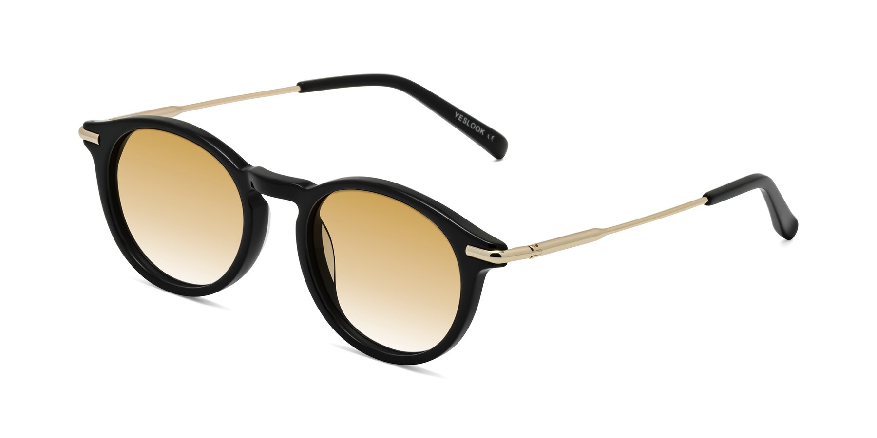 Angle of Gupta in Black with Champagne Gradient Lenses