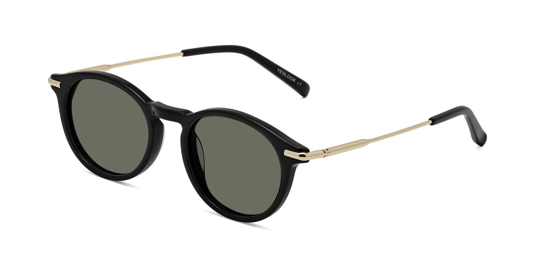Angle of Gupta in Black with Gray Polarized Lenses