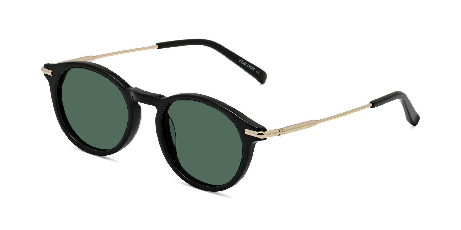 Angle of Gupta in Black with Green Polarized Lenses