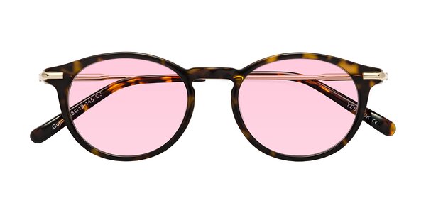 Front of Gupta in Tortoise