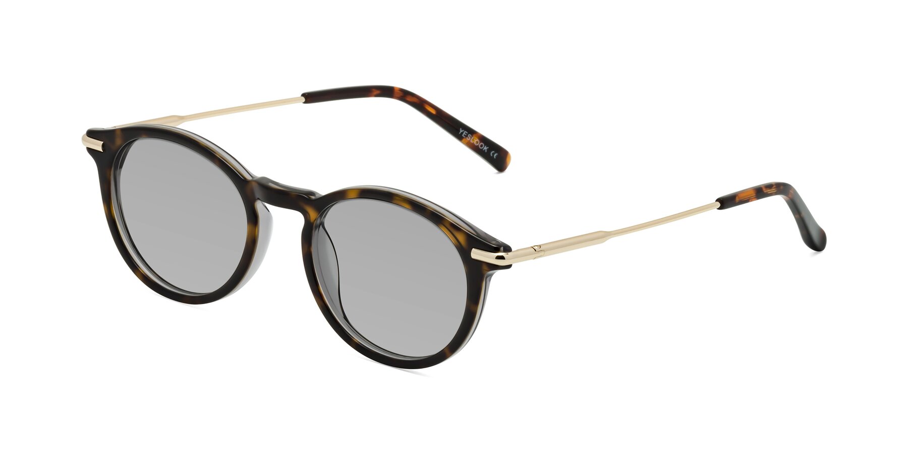 Angle of Gupta in Tortoise with Light Gray Tinted Lenses