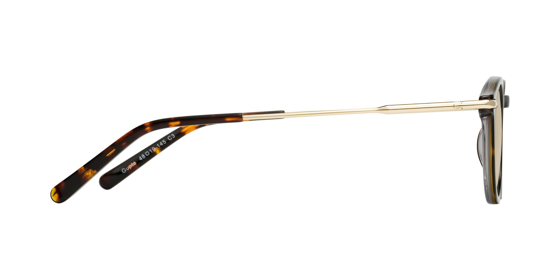 Side of Gupta in Tortoise with Light Brown Tinted Lenses