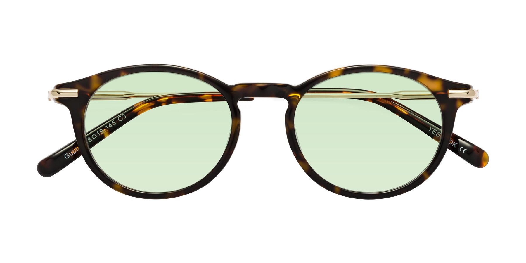 Folded Front of Gupta in Tortoise with Light Green Tinted Lenses