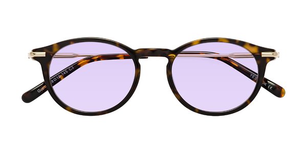 Front of Gupta in Tortoise