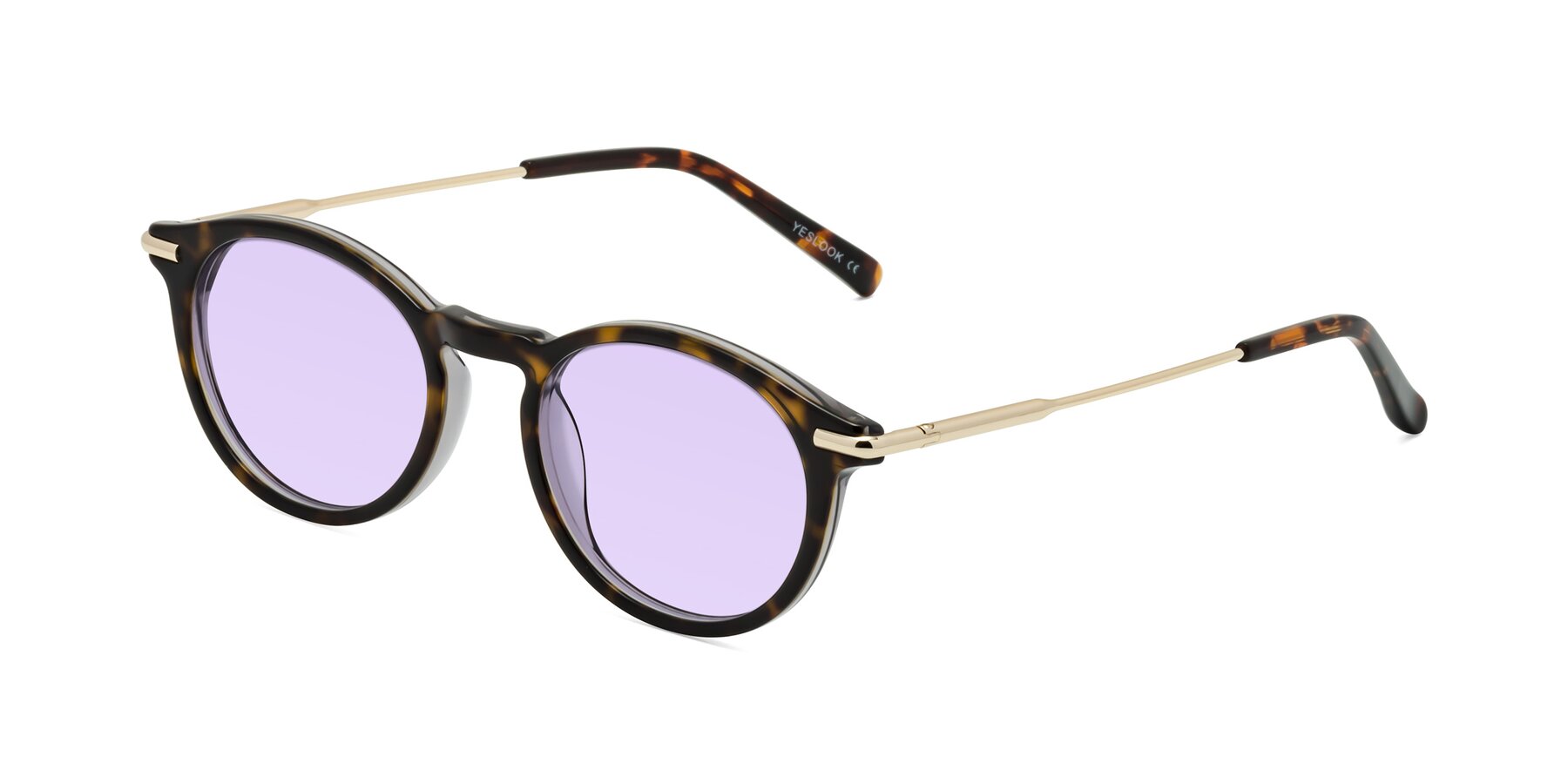 Angle of Gupta in Tortoise with Light Purple Tinted Lenses