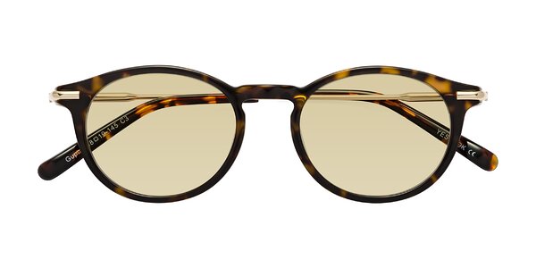 Front of Gupta in Tortoise