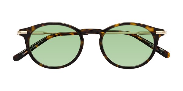Front of Gupta in Tortoise