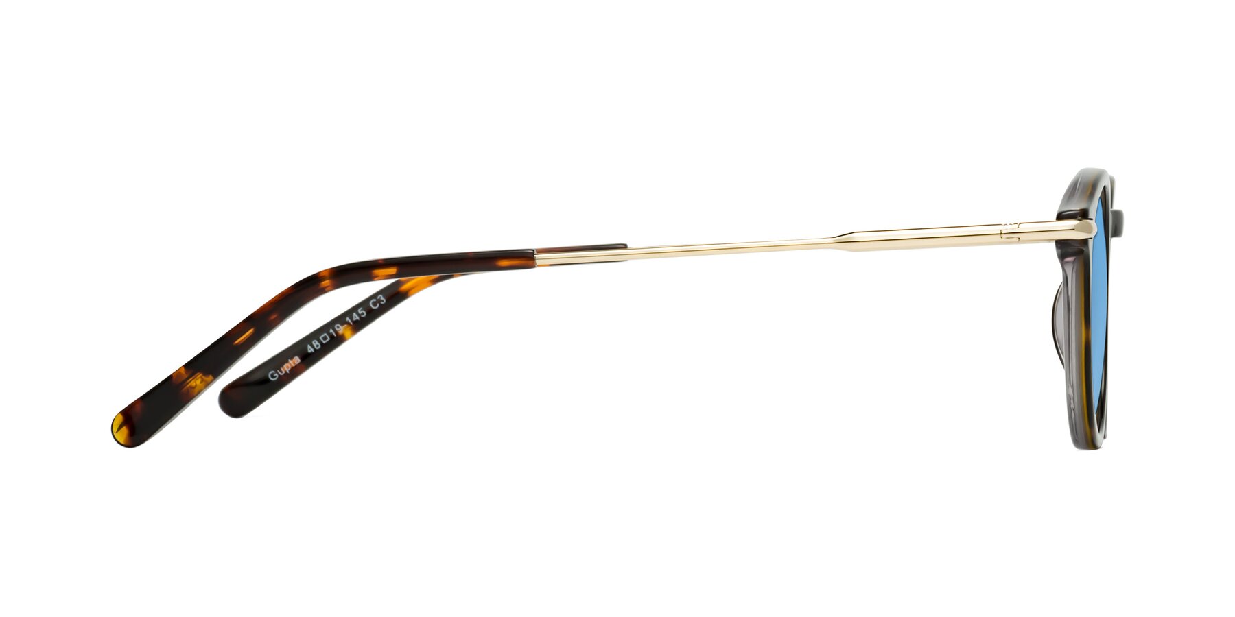 Side of Gupta in Tortoise with Medium Blue Tinted Lenses
