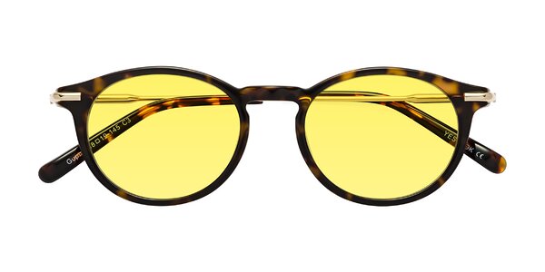 Front of Gupta in Tortoise