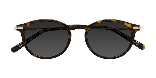 Front of Gupta in Tortoise