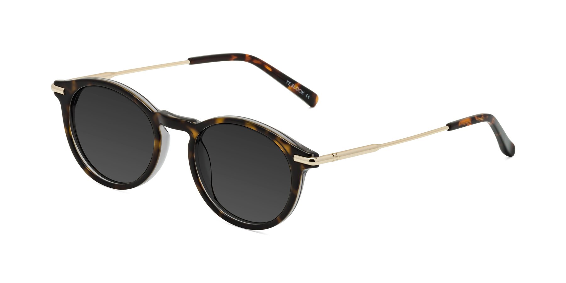 Angle of Gupta in Tortoise with Gray Tinted Lenses