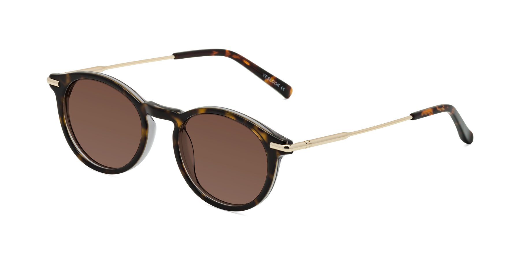 Angle of Gupta in Tortoise with Brown Tinted Lenses