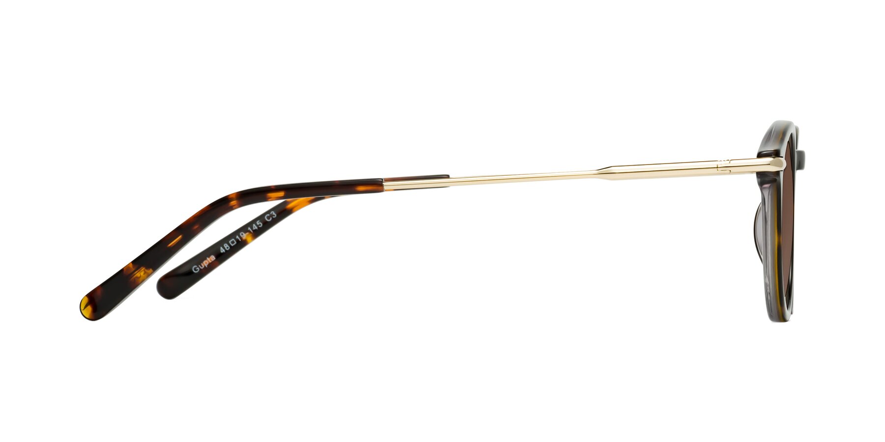 Side of Gupta in Tortoise with Brown Tinted Lenses