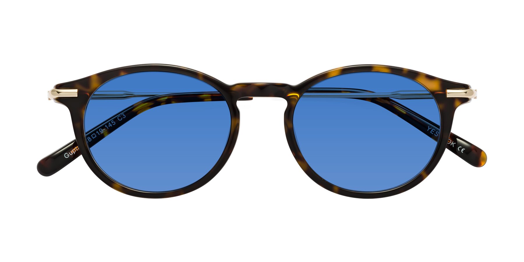 Folded Front of Gupta in Tortoise with Blue Tinted Lenses