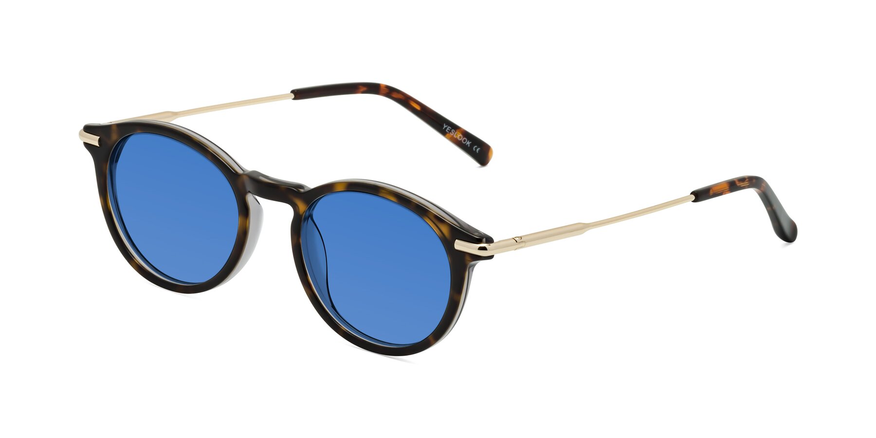 Angle of Gupta in Tortoise with Blue Tinted Lenses
