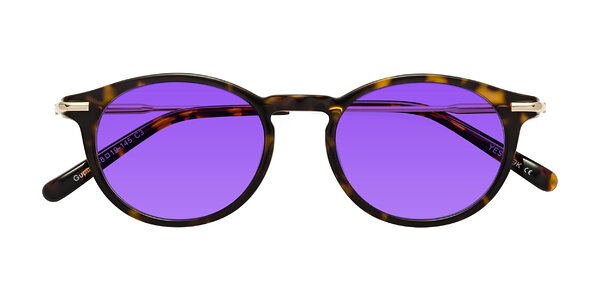 Front of Gupta in Tortoise