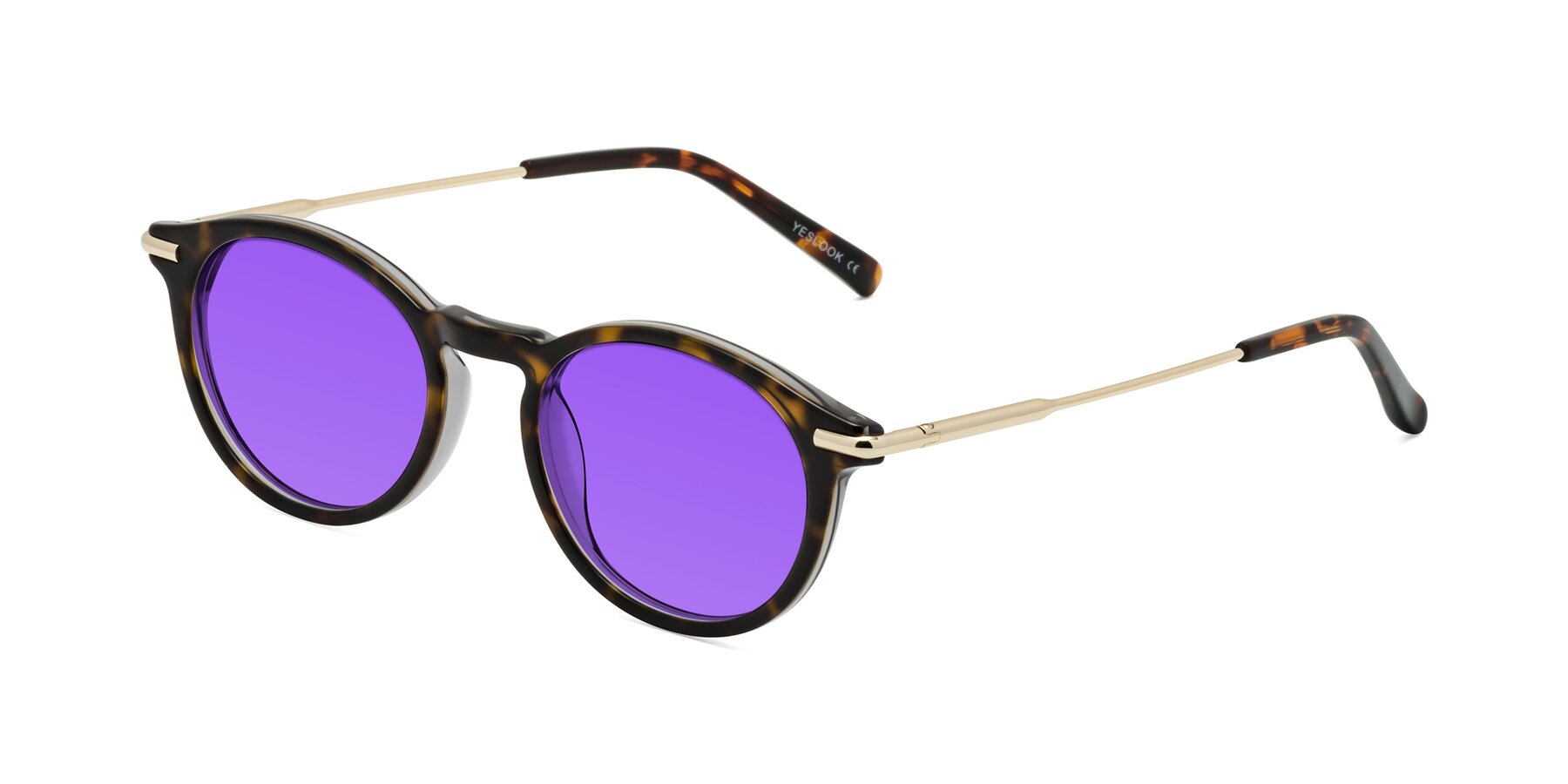 Angle of Gupta in Tortoise with Purple Tinted Lenses