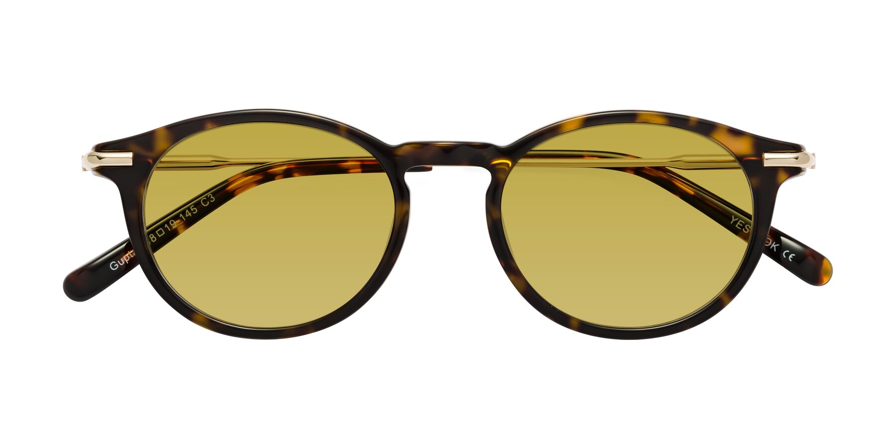 Folded Front of Gupta in Tortoise with Champagne Tinted Lenses
