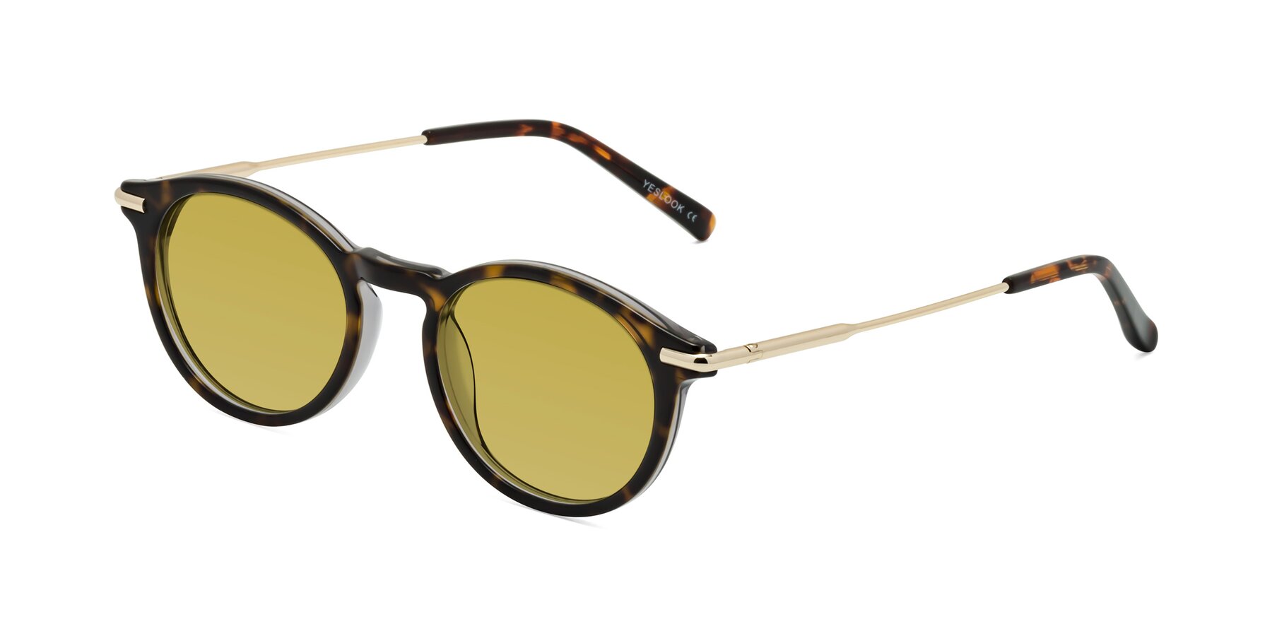 Angle of Gupta in Tortoise with Champagne Tinted Lenses