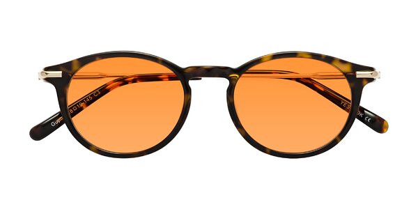 Front of Gupta in Tortoise
