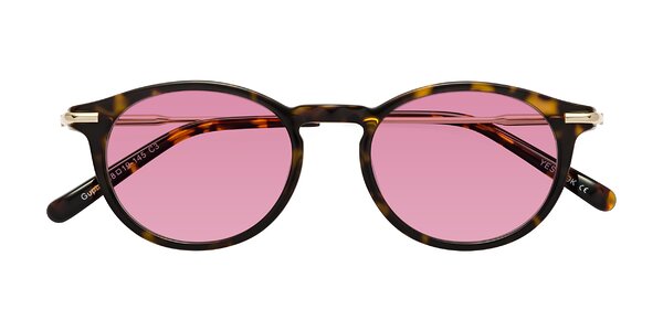 Front of Gupta in Tortoise
