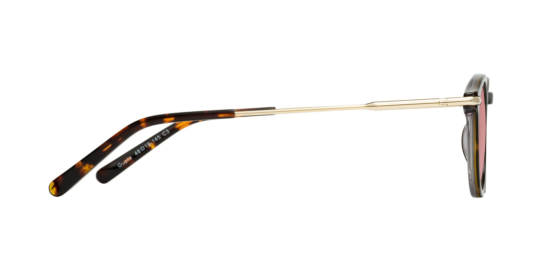 Side of Gupta in Tortoise with Medium Garnet Tinted Lenses