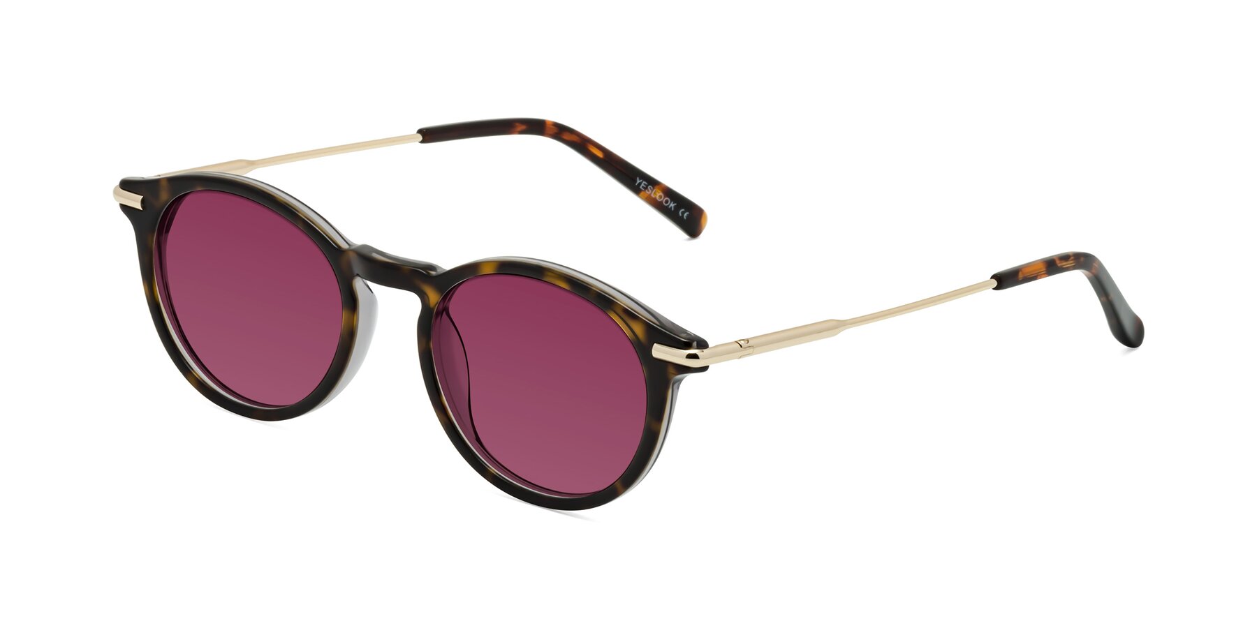Angle of Gupta in Tortoise with Wine Tinted Lenses