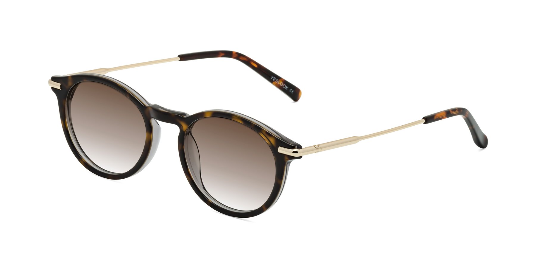 Angle of Gupta in Tortoise with Brown Gradient Lenses
