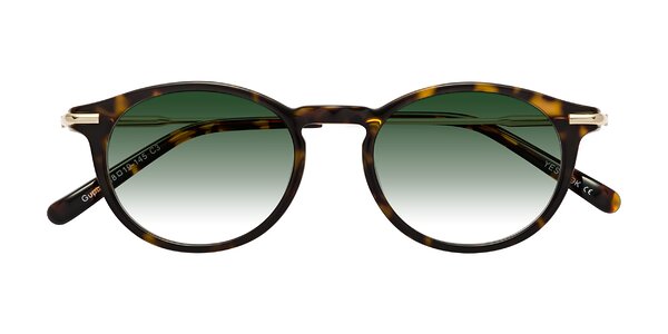 Front of Gupta in Tortoise