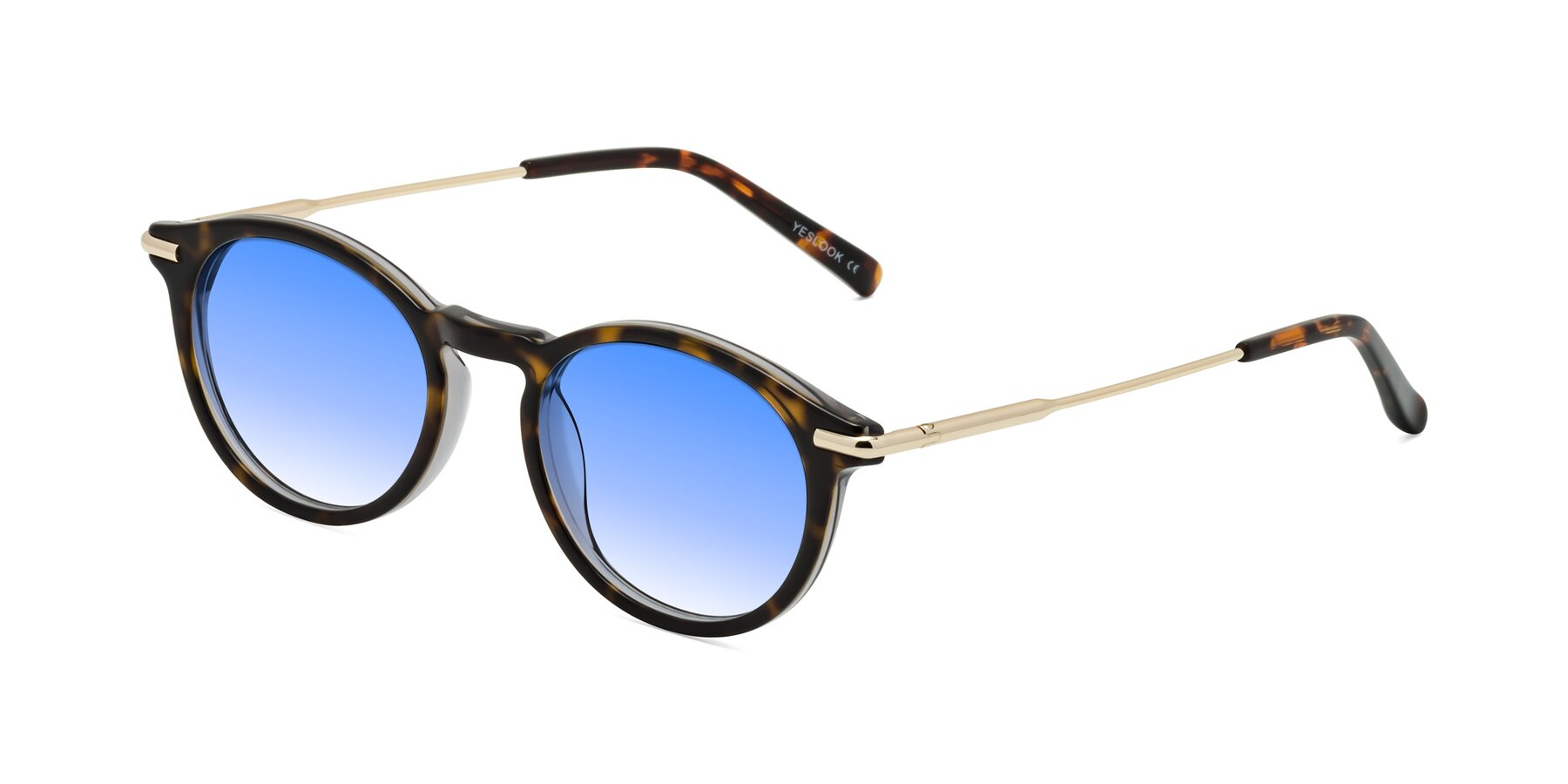 Angle of Gupta in Tortoise with Blue Gradient Lenses