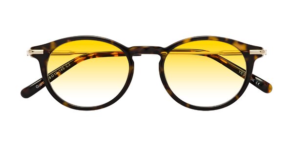 Front of Gupta in Tortoise